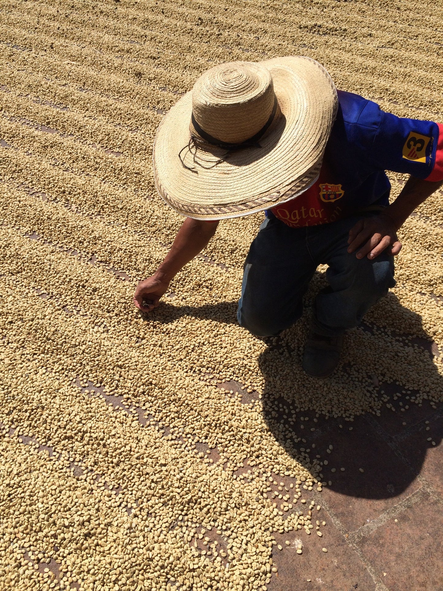 Ritmo - Espresso Blend
