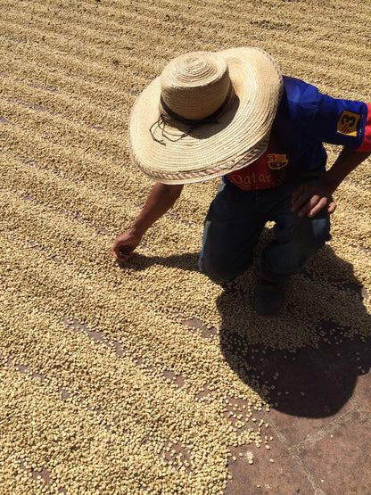 Ritmo - Espresso Blend